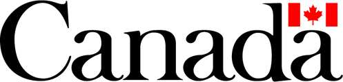 Definity Foundation